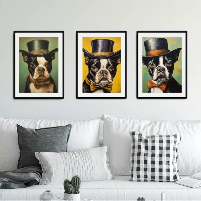 Boston Terrier - Set Of All 3 Poster Art Prints Picture Wall Home Gift Pet Dog