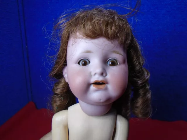 Antique Bisque Head Doll German??  Xx-258 (Rl)