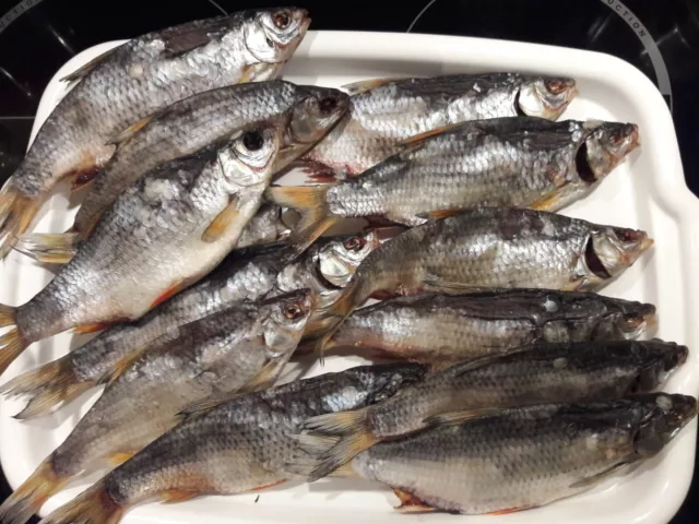 Trockenfisch gedörrte Plötze von privat Fisch getrocknet сушено-вяленая рыба