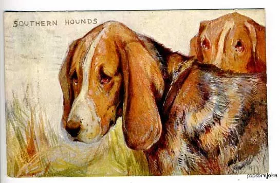 Southern Hounds Signed 1909 Tuck Postcard