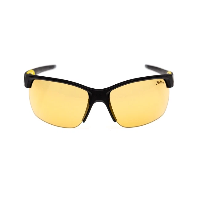 Julbo Zebra Antifog Photochromic 8850