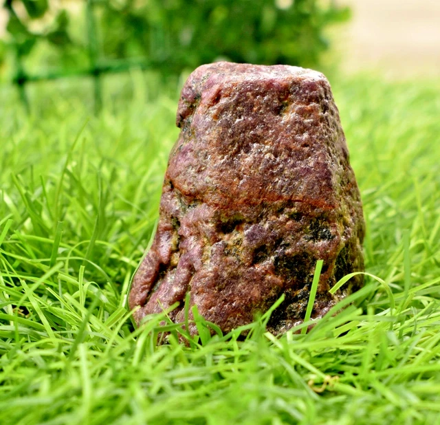 Rubis Brut Naturel Du Mozambique - 500 Carats - Non Traité Et Certifié - Idéal Collection Ou Création