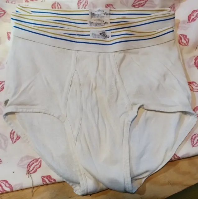 1980s Vintage JC Penney Austin Manor White Briefs NOS Size 36 Underwear 2  Strips