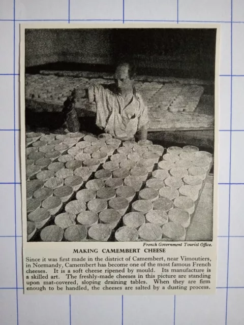 Making camembert cheese factory man worker France