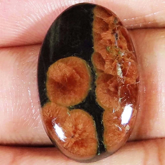 (17x26x06 MM Größe) 24.70 Cts. Natürlich Erdnuss Obsidian Ovale Form Lose