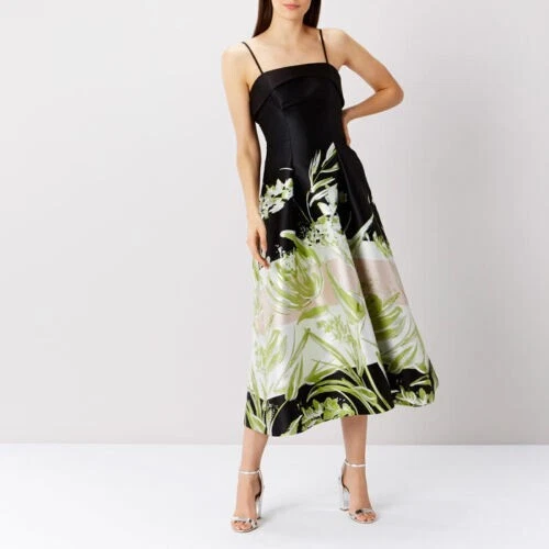 Coast destiny print sales dress