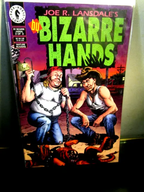 Dark Horse Comic By Bizarre Hands 3 of 3 June 1994 BAGGED BOARDED