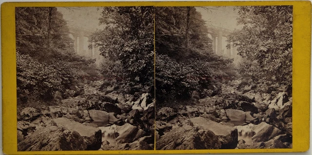 Landschaft Savoie? Frankreich Foto Stereo Vintage Albumin c1865