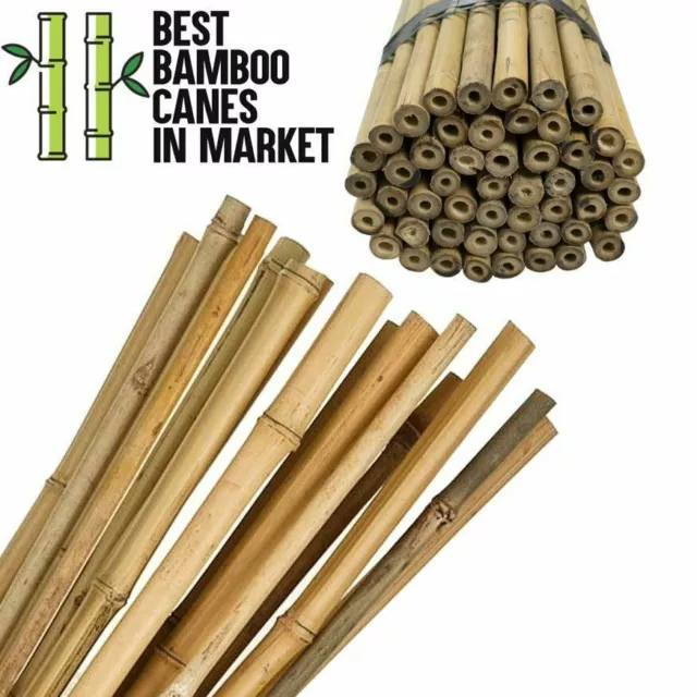 2FT/8FT Quality Bamboo Sticks Garden Canes Pack Strong Plant Support Thick Stake