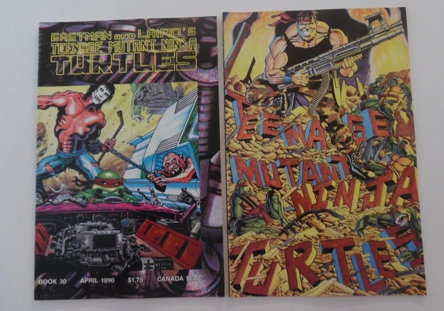 MIRAGE  teenage mutant ninja turtles - LOT OF 2 COMICS - #30 34