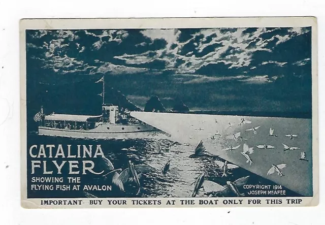 Early 1900's Adver. Postcard Catalina Flyer Flying Fish At Avalon Unposted