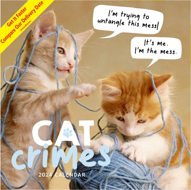 2024 CAT CRIMES Square Wall Calendar Planner by Paper Pocket Large 30cm