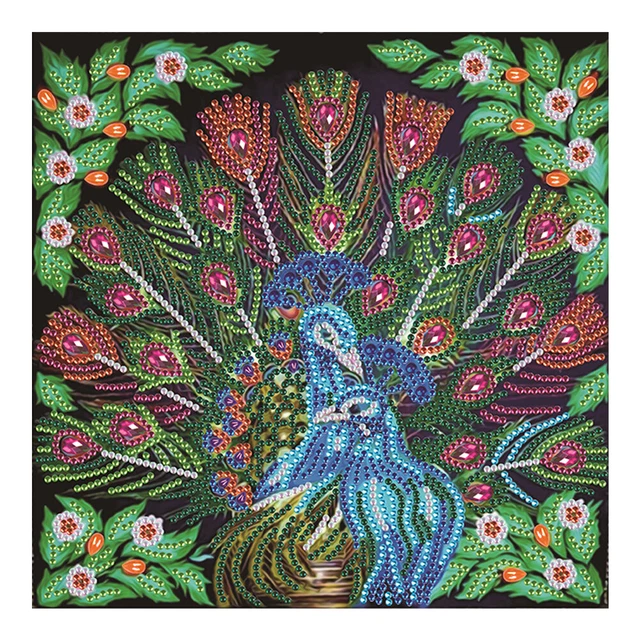 5D Diamond Painting Peacock Partial Special Shape Drill Wall DIY (UP274)