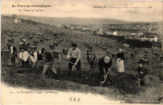 CPA AK ÉPERNAY Le Travail de la Vigne (491770)