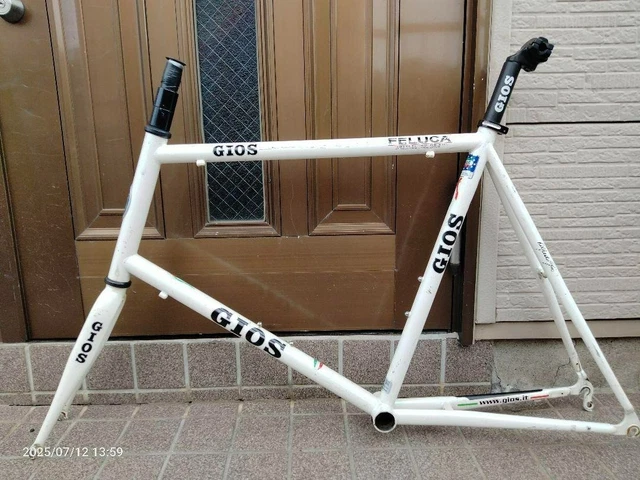 GIOS PANTO FRAME set size 51 20 inch 451 wheel compatible