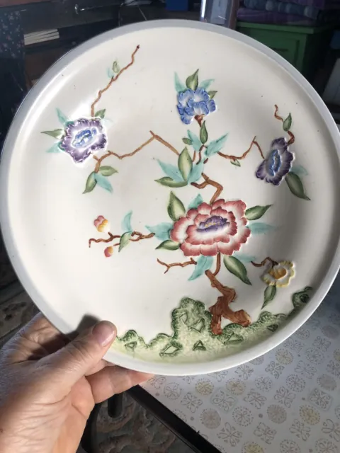 Vintage Ceramic Plate With Raised Flower Patterning: Chinese Rose By Woods & Son