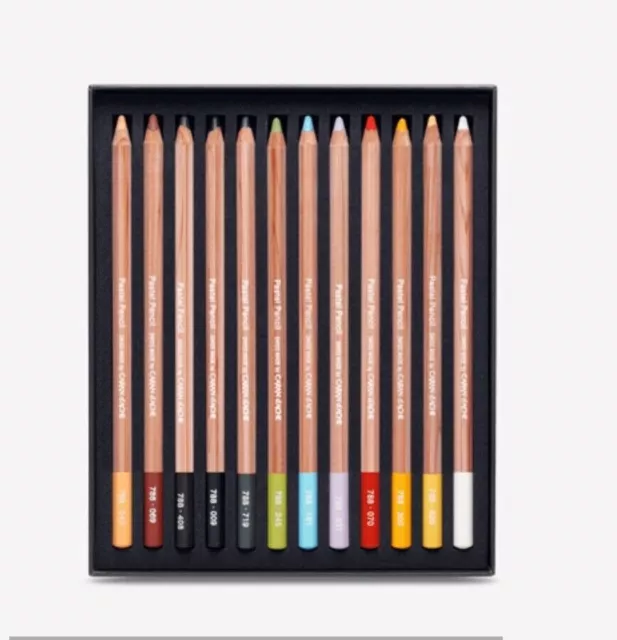 Caran Dache Extra Fine Dry Pastel Pencils box of 12