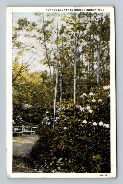 Monroe County, PA-Pennsylvania, Rhododendron Time, c1937 Vintage Postcard