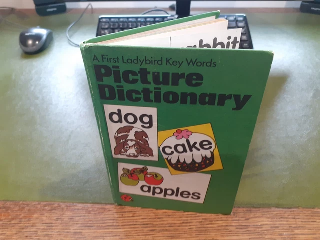 LADYBIRD BOOK FIRST Picture Dictionary - Matt Board - Good Condition ...