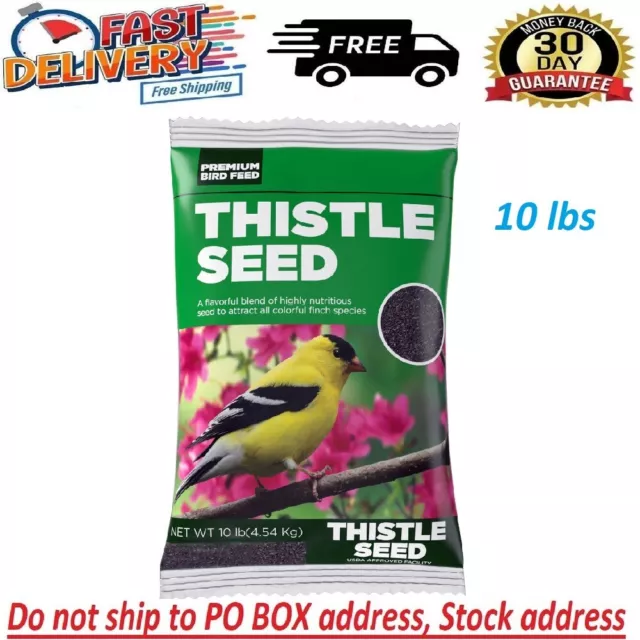 Premium Natural Black Thistle Nyjer Seed Wild Bird Food 10 Lb Bag, Brown,Bird