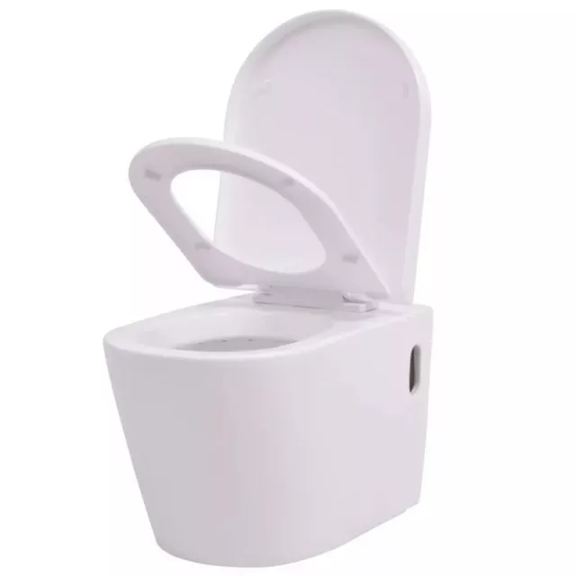 AX Water WC Sospeso Tazza Ceramica Copriwater Chiusura Morbida Elegante + 244270