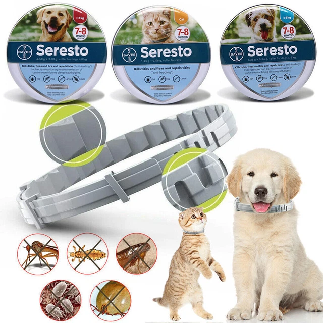 Per Cani Sopra Oltre 8 kg Medio Grandi Seresto Bayer-Collare Antiparassitario
