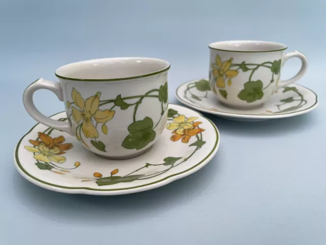 Villeroy & Boch Geranium 2 Cups and Saucers Vintage