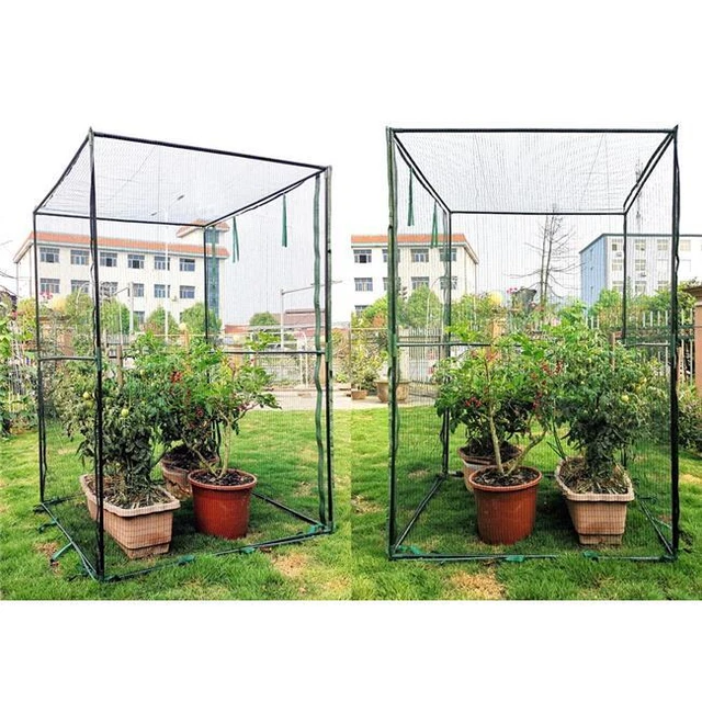 Zenport Fruit Cage SH3288 Steel Frame Anti-Bird Netting 47.2 X 47.2 X 70.9-In...