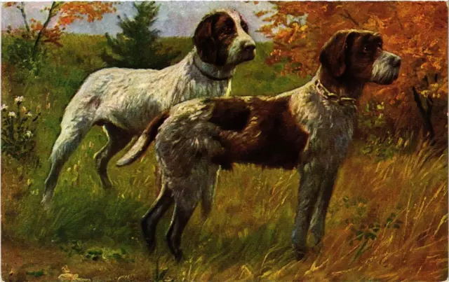 CPA AK Deutsch Drahthaar DOGS (729481)