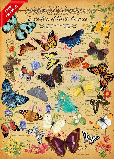 Vintage Butterfly Puzzle for Adults 1000 Piece, North America Flower Plant Butte
