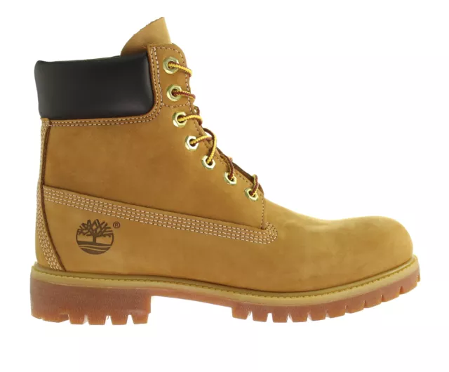 Timberland 19076 store