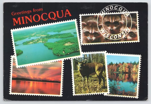 State View~5 Views of Nature @ Minocqua Wisconsin~Continental Postcard