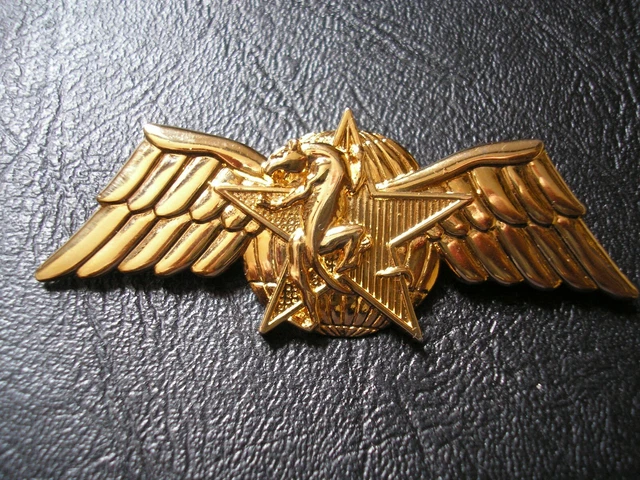 INSIGNES LOT BREVETS INSTRUCTEUR ENTRAÎNEMENT SPÉCIALISE - COMBAT CHOC CPES  DGSE EUR 250,00 - PicClick FR