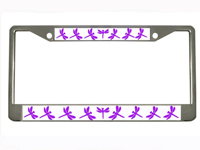 Dragon Butterfly Design Car License Plate Frame Auto Tag Holder