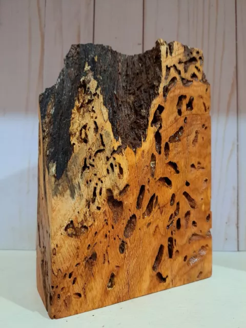 XL WORMY SUNTED ROBLE ROJO Madera Burl, Madera EPOXI, Escala de Cuchillo, Madera de Fundición, Artesanía