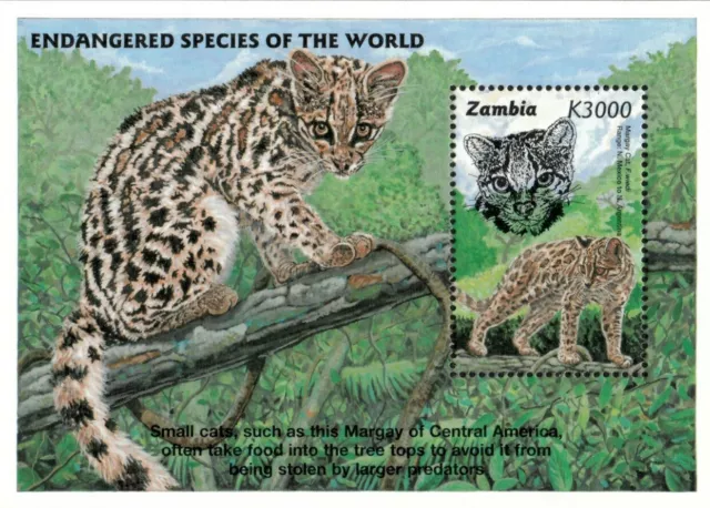 Zambia 1997 - Endangered Species Margay Cat - Souvenir Sheet - Scott 665 - MNH