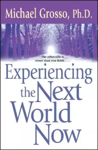 Michael Grosso Experiencing the Next World Now (Poche)