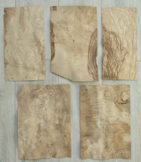 Ash burl wood veneer mix, 5 sheets,~ 0.6 mm ~1/42"