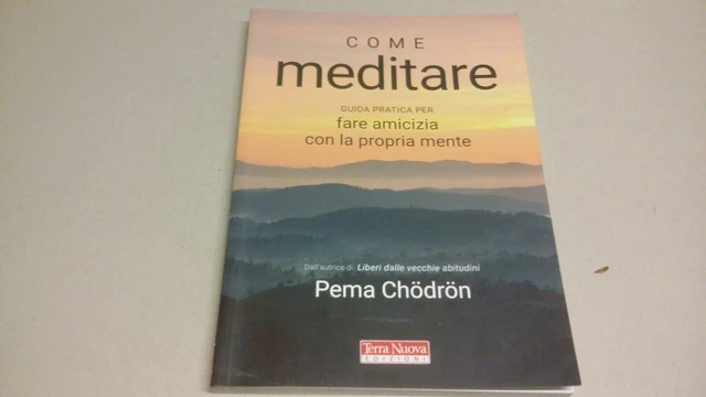 COME MEDITARE. GUIDA PRATICA PER FARE AMICIZIA CON LA PROPRIA MENTE, 12g23