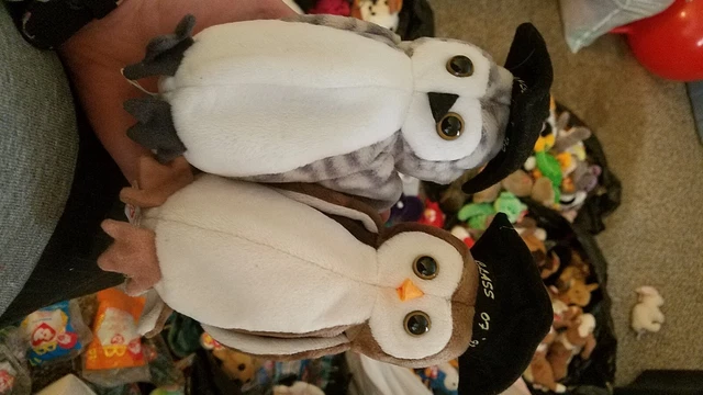 TY Beanie Baby Graduation Owls 98 And 99 Wise And Wiser