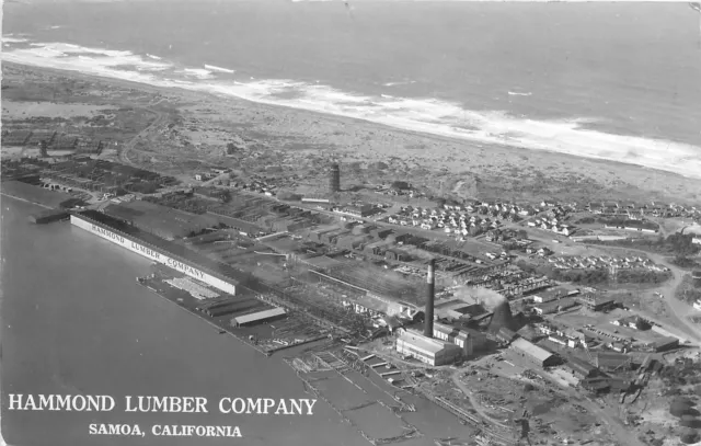 Postcard RPPC California Samoa Hammond Lumber Logging Aerial View 23-2164
