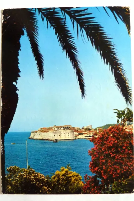 Dubrovnik - Republik Ragusa - Kroatien - Adria  - AK gel. - Jugoslawien - Palme