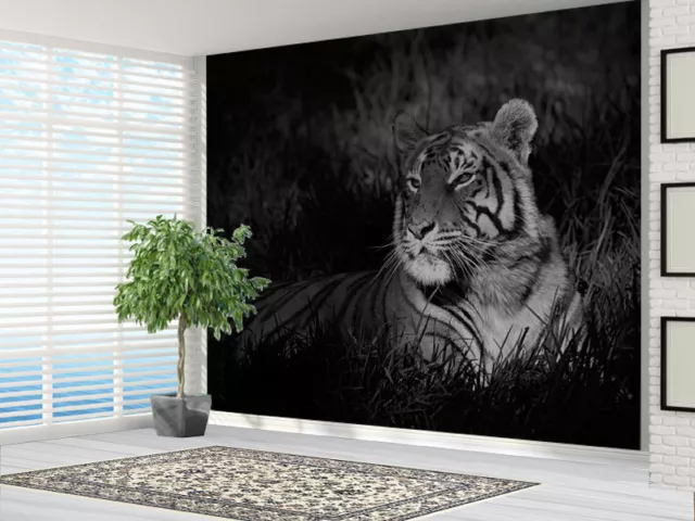 Black and White Tiger sat in grass Nature wallpaper photo wall mural (14751945)