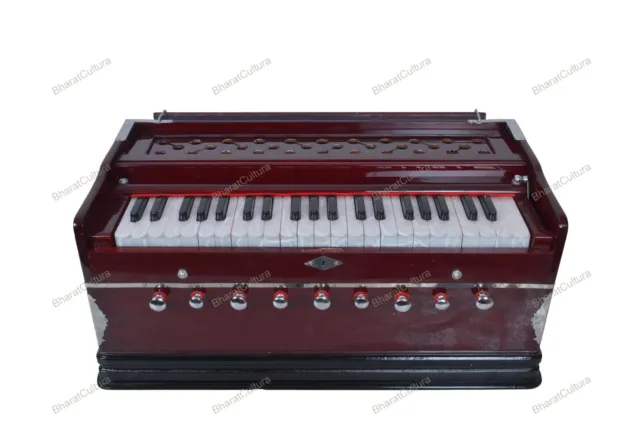 9 Bouchon Chudidaar Soufflet 42 Clé Deux Roseau Basse Mâle Harmonium Avec Sac