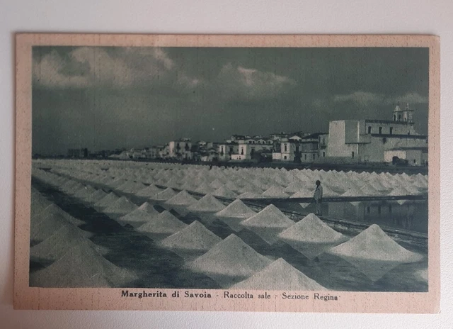 Margherita Di Savoia Raccolta Sale Srzione Regina