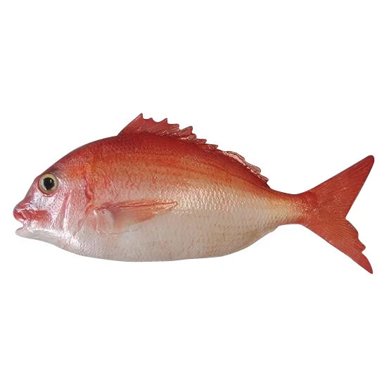 Food Sample Made By Japanese Craftsmen Sea Bream Single-Sided Blow Ip-544
