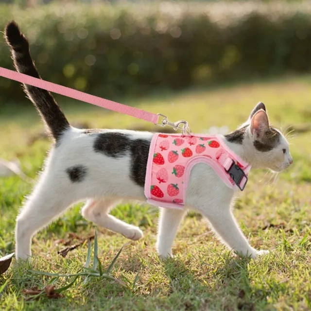 Breathable Cat Harness Collar Escape Proof Pet Harness and Leash Set Kitten