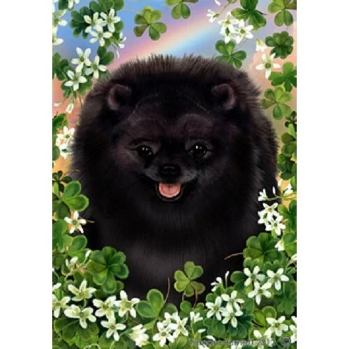 Clover Garden Flag - Black Pomeranian 312551