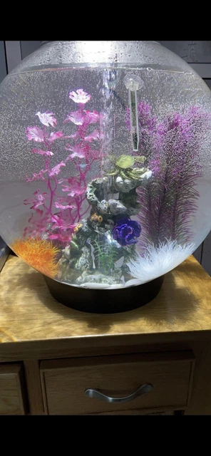biorb fish tank 60l - complete set up