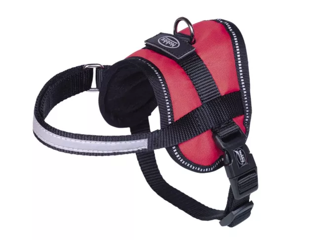 Nobby  Geschirr Seguro Mini Hund Dog rot Bauch: 31-40 cm; B: 15 mm